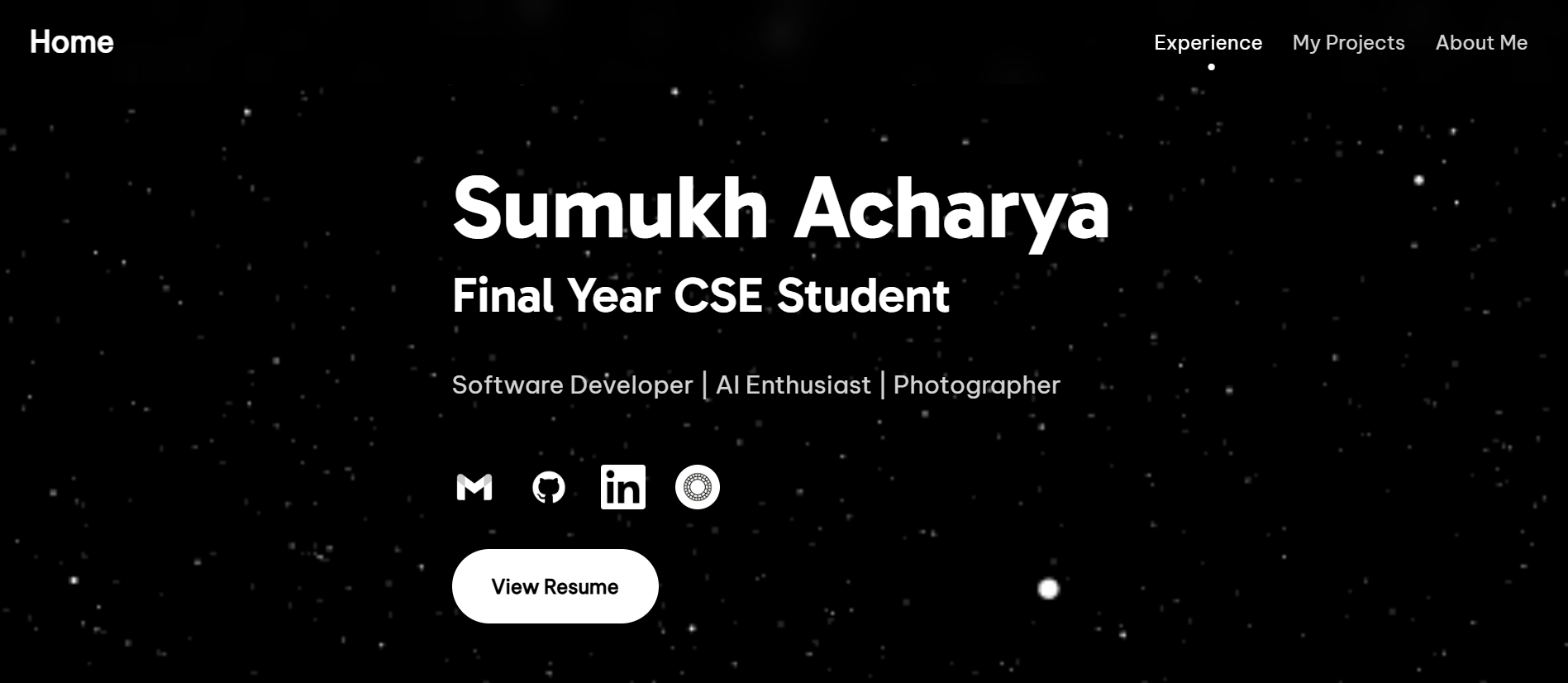 My Portfolio